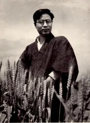 武田泰淳