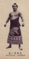 金乃花武夫