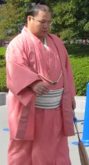 磋牙司洋之