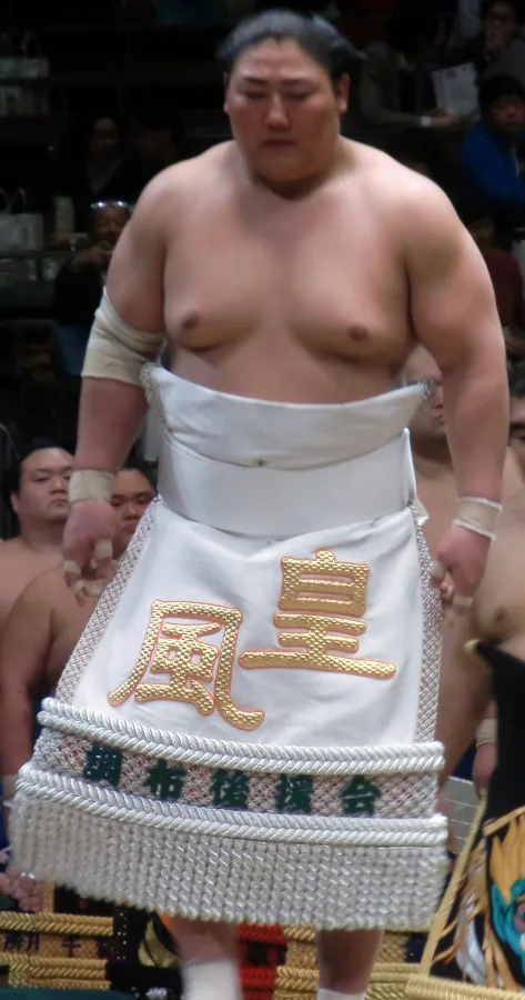 皇風俊司