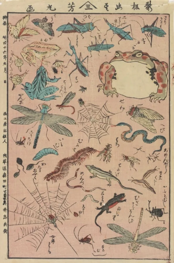 歌川芳丸