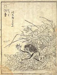鳥山石燕
