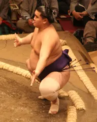 翔天狼大士