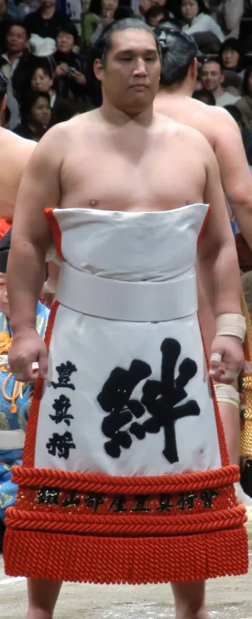 豊真将紀行