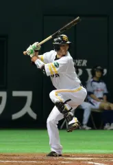 金子圭輔