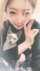 羽田あい