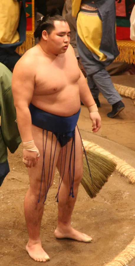 鶴竜力三郎