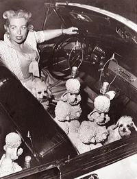Phyllis Morris