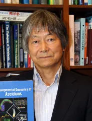 佐藤矩行