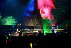 Hide