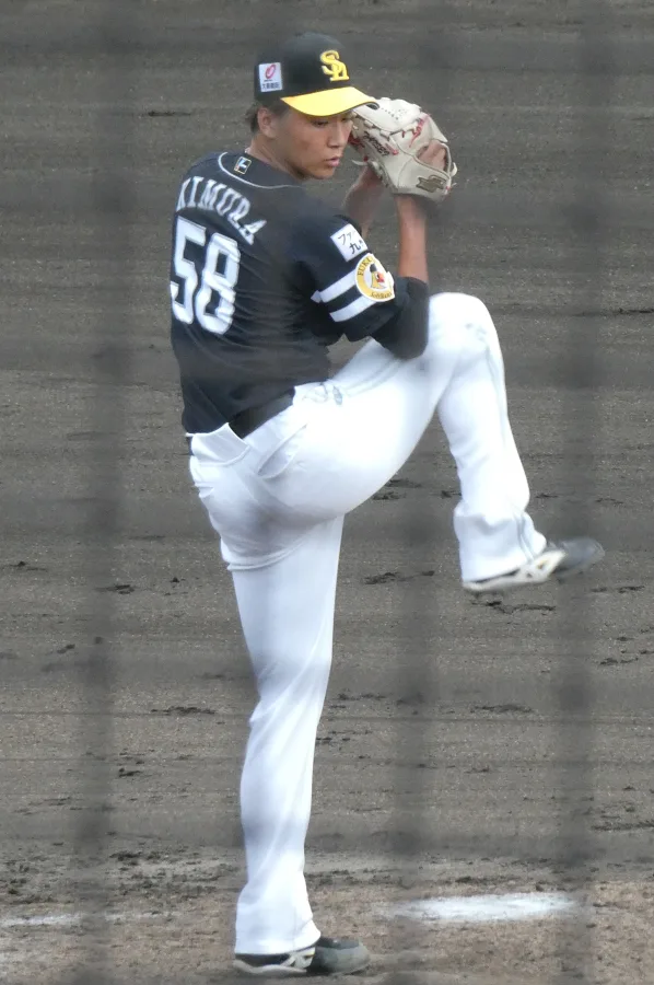 木村大成