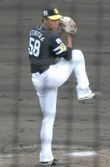 木村大成