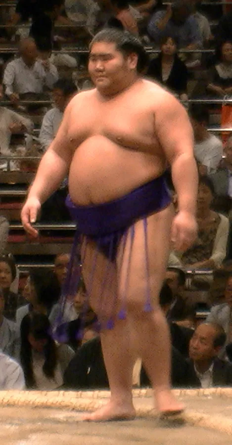 千代皇王代仁