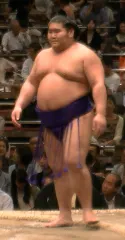 千代皇王代仁