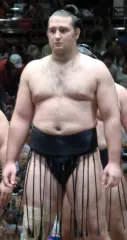 琴欧洲勝紀