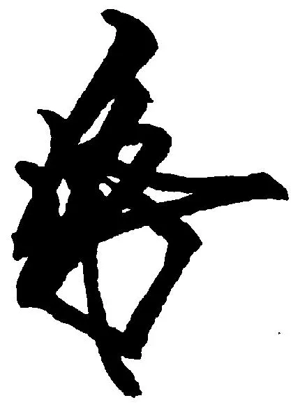 近衛尚通