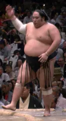 千代鳳祐樹
