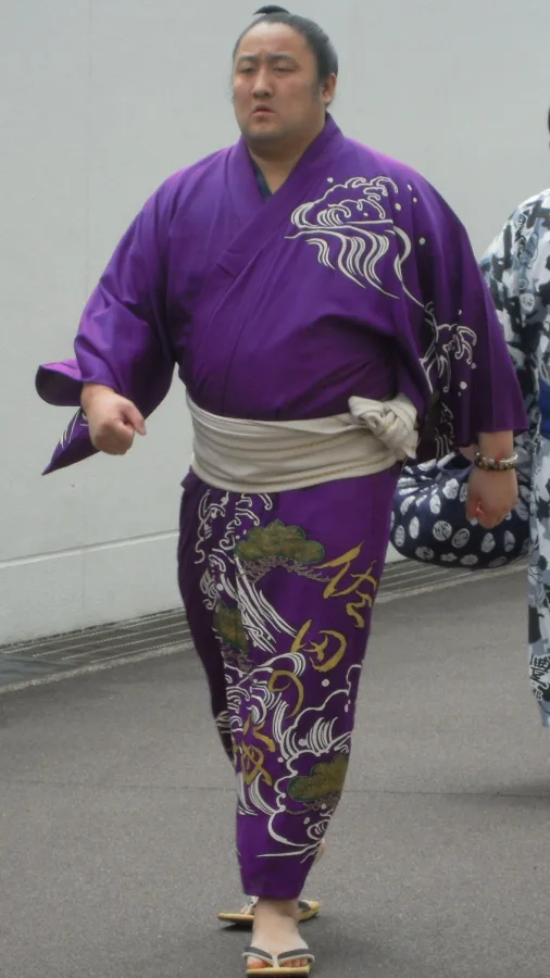 佐田の海貴士