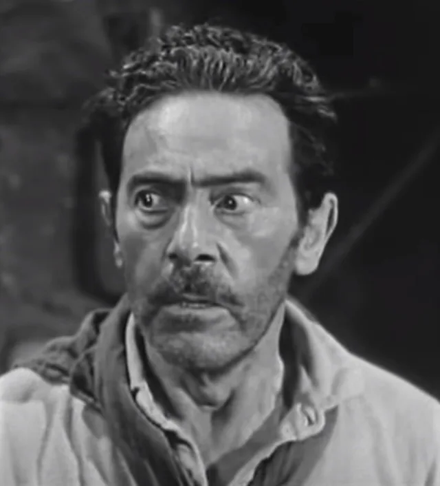 Charles Wagenheim