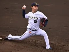 椋木蓮