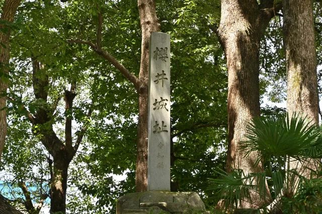 松平信定