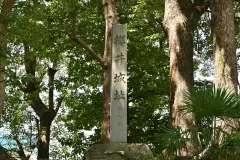 松平信定
