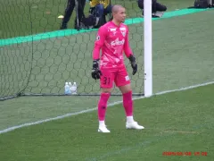 高麗稜太