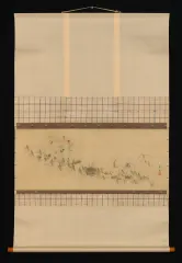 西山完瑛