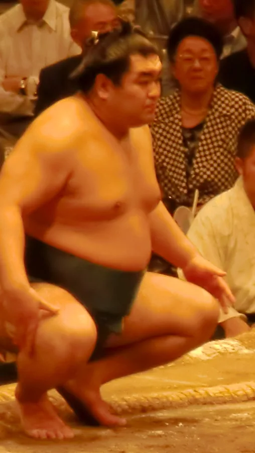 玉飛鳥大輔