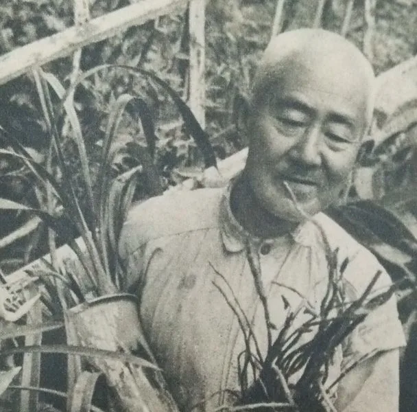 岩田祐吉