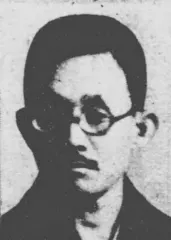 大島高精