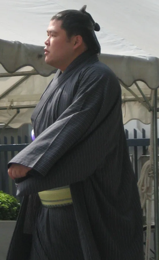土佐豊祐哉