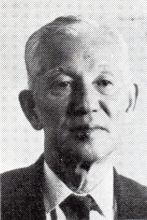 杉山新樹