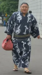 栃飛龍幸也