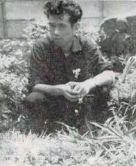 谷内六郎