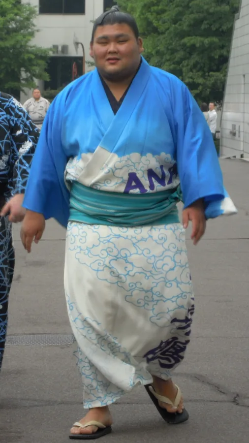 大喜鵬将大