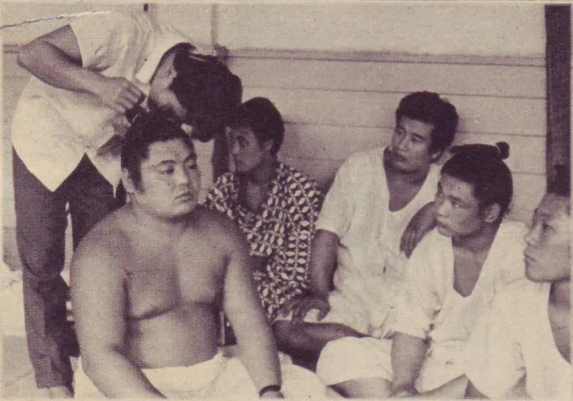豊國範