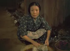 毛利菊枝