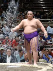 琴勇輝一巖