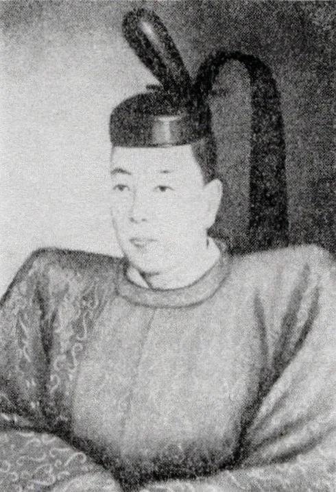 内藤政苗