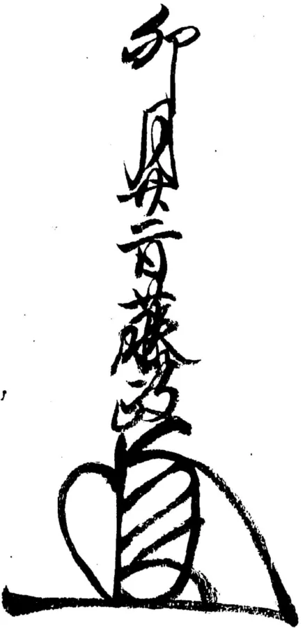 足利藤政