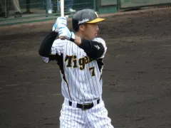 今岡真訪