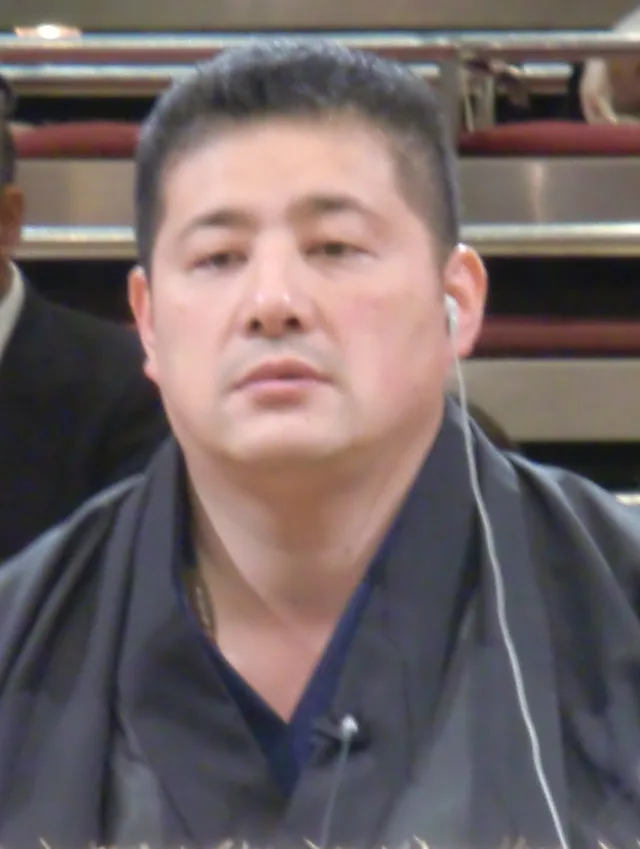 琴ノ若晴將
