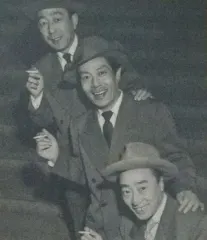 山茶花究