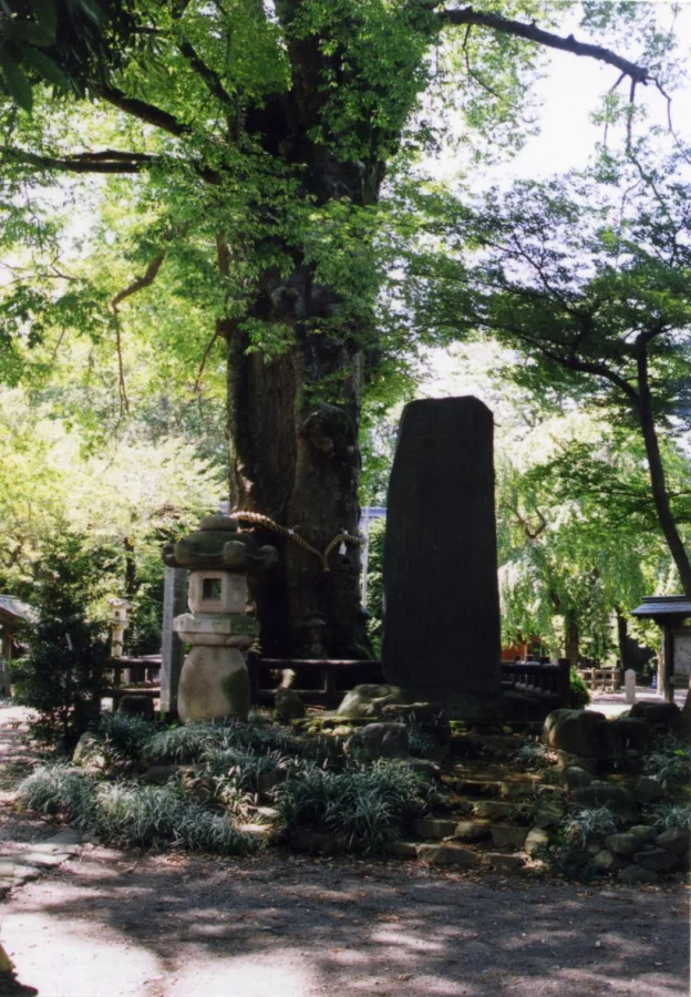 清水宗徳