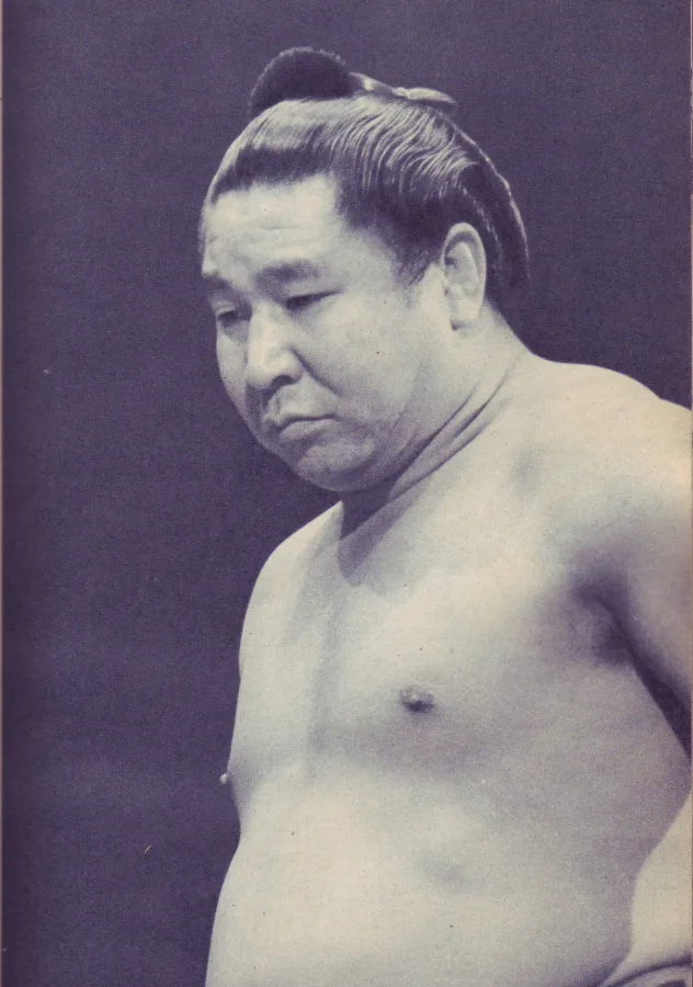 若乃花幹士