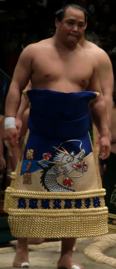 城ノ龍康充
