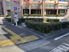 石井智恵